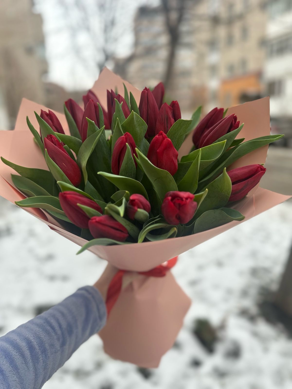 19 тюльпанов — изображение 5