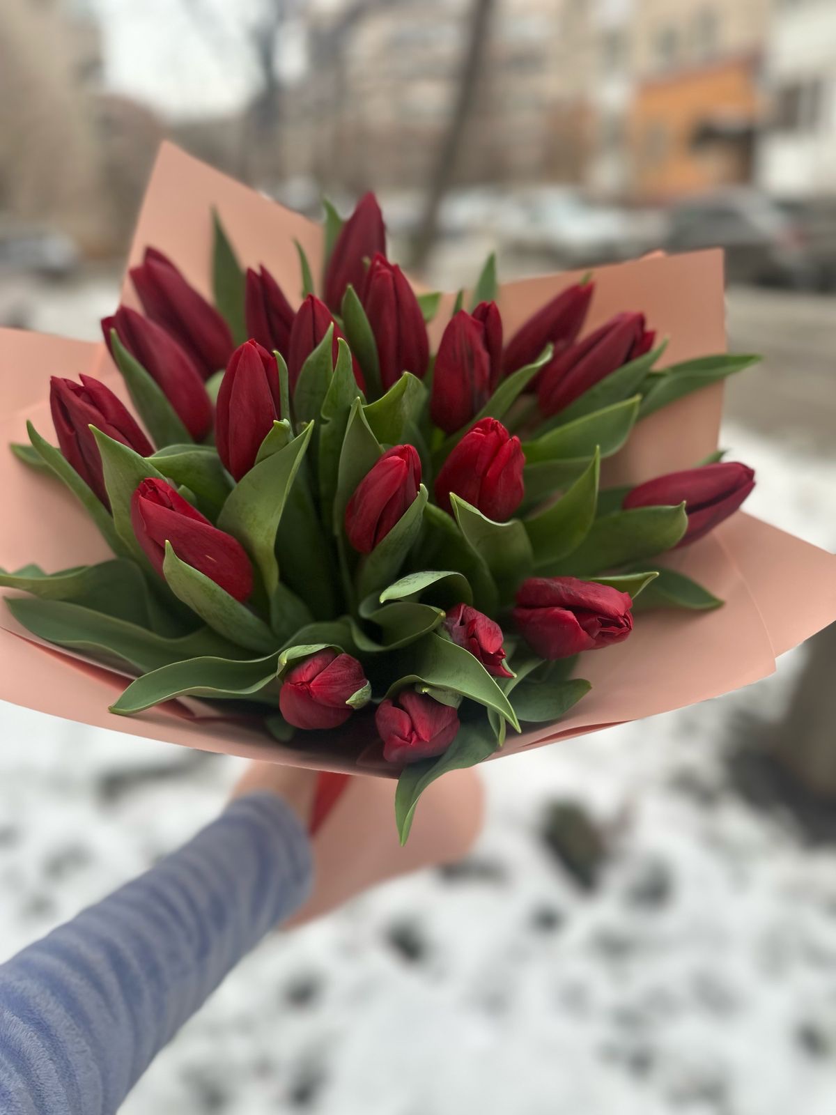 19 тюльпанов — изображение 6