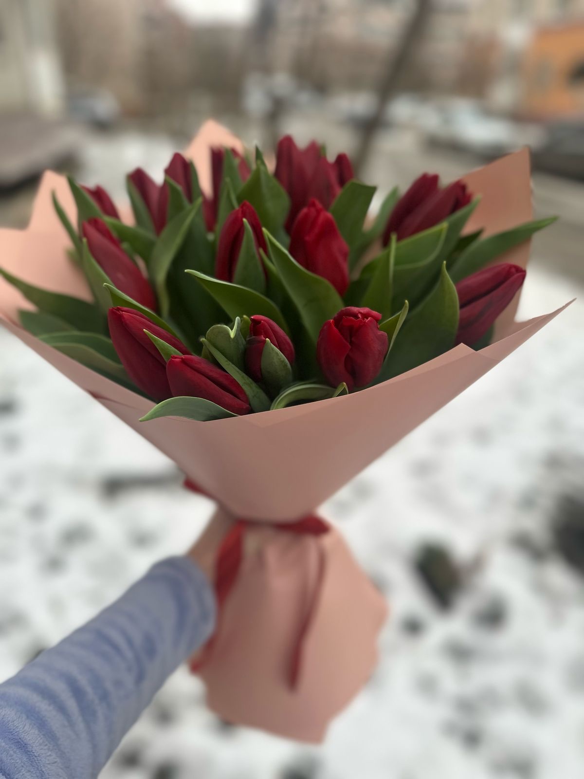 19 тюльпанов — изображение 4