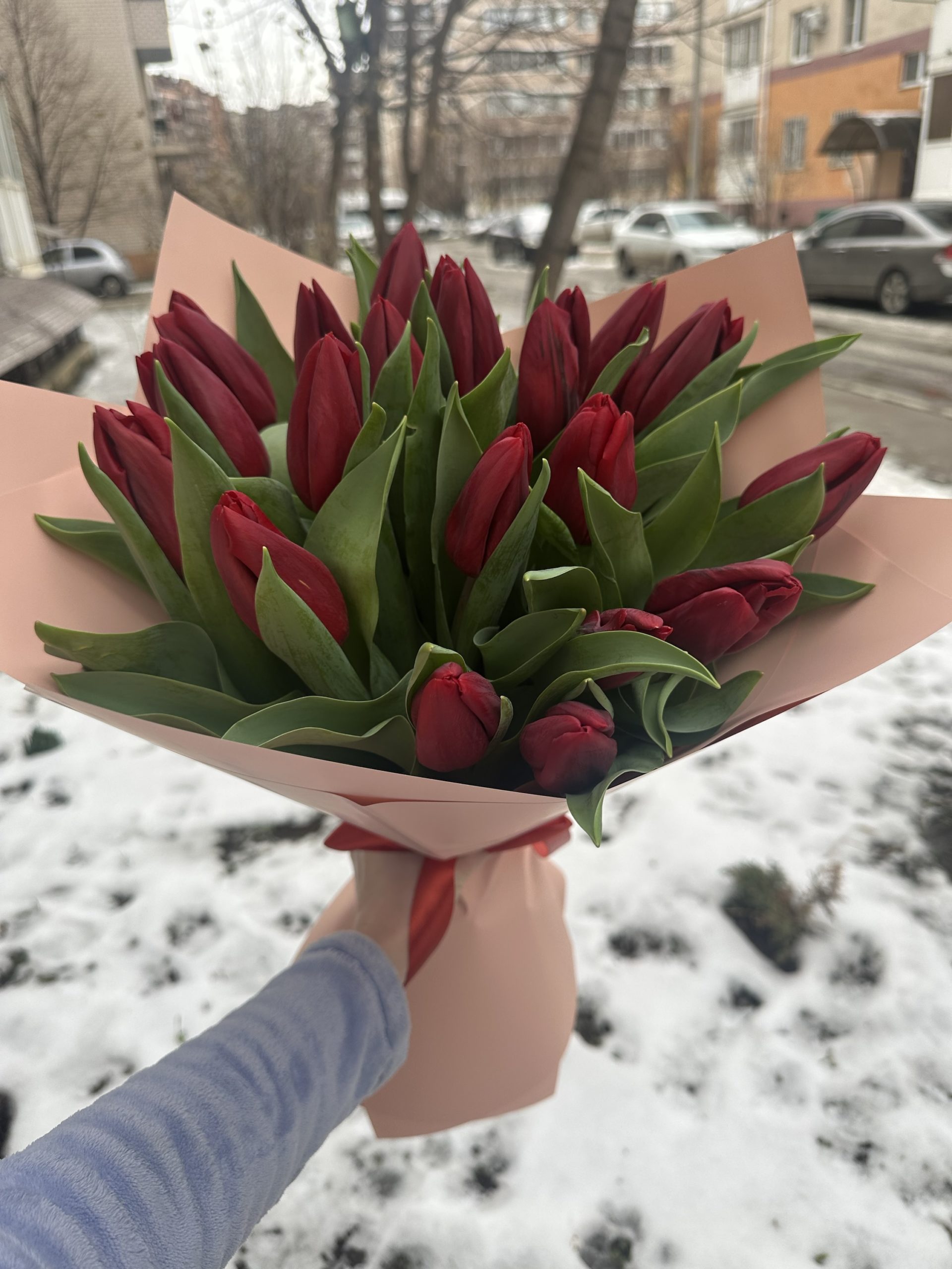 19 тюльпанов